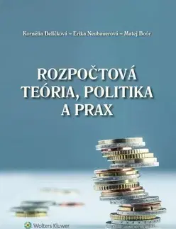 Pre vysoké školy Rozpočtová teória, politika a prax - Kornélia Beličková,Erika Neubauerová,Matej Boór