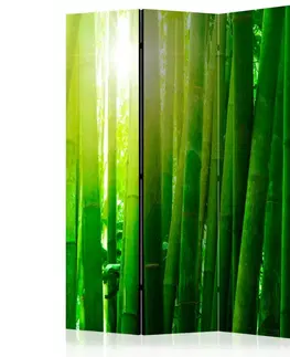 Paravány Paraván Sun and bamboo Dekorhome