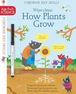 V cudzom jazyku Wipe-Clean How Plants Grow 5-6 - Hannah Watson