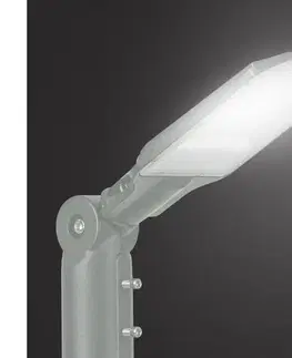 LED osvetlenie BRILAGI - LED Vonkajšia uličná lampa URBANLIGHT LED/50W/230V sivá IP65 BRI787