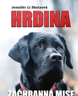 Beletria - ostatné Hrdina: Záchranná mise - Jennifer Li Shotzová