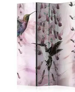 Paravány Paraván Flying Hummingbirds (Pink) Dekorhome