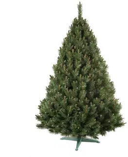 Vianočné dekorácie Nohel 91413 Vianočný stromček Borovica, 180 cm, 180 cm