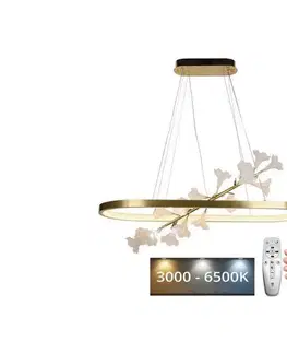 Svietidlá  LED Stmievateľný luster na lanku LED/65W/230V 3000-6500K + diaľkové ovládanie J5304/C