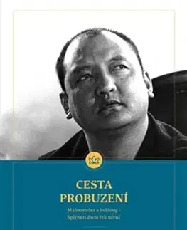Duchovný rozvoj Cesta probuzení - Šamar Rinpočhe