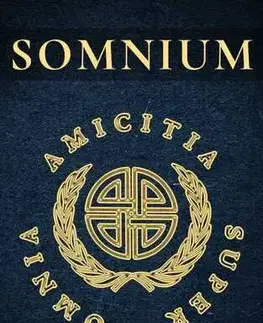 Detektívky, trilery, horory Somnium - Peter Martiniak