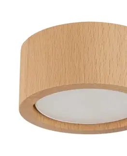 Svietidlá  Bodové svietidlo EVE 1xGX53/11W/230V buk 10123