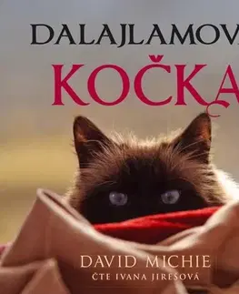 Filozofia Synergie Dalajlamova kočka