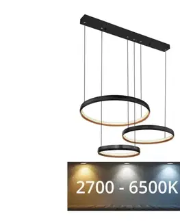 Svietidlá Globo 67193-55H- LED Stmievateľný luster na lanku HALLI LED/55W/230V 2700-6500K+DO 67193-55H