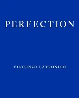 Svetová beletria Perfection - Vincenzo Latronico,Sophie Hughes