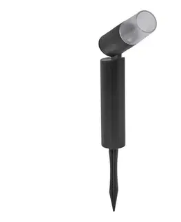 Záhradné lampy Ledvance - LED Vonkajšia lampa ROTA SPIKE LED/1W/12V IP44 4058075834682