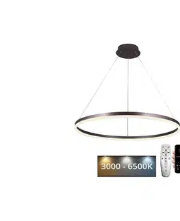 Svietidlá  LED Stmievateľný luster na lanku LED/55W/230V 3000-6500K + diaľkové ovládanie J4309/BR