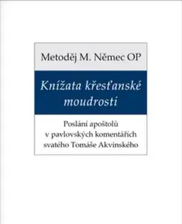 Filozofia Knížata křesťanské moudrosti - Metoděj Němec