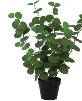 Záhradné dekorácie Umelý eukalyptus v kvetináči 50 cm
