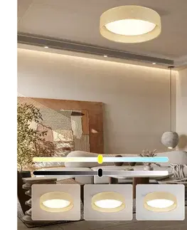 Svietidlá  NEO 07289L - LED+CCT stmievateľné stropné svietidlo LONA 36W/230V pr. 45,5 cm + DO 07289L