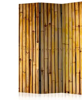 Paravány Paraván Bamboo Garden Dekorhome