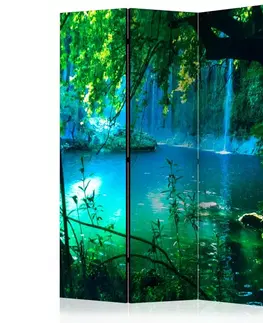 Paravány Paraván Kursunlu Waterfalls Dekorhome