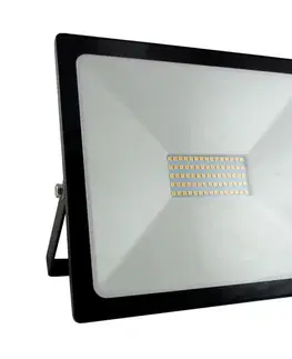 Svietidlá  LED Reflektor LED/50W/230V IP65 008 0000701