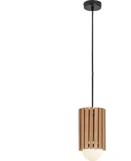 Svietidlá Rabalux 72420 - Luster na lankách NOXELLE 1xG9/5W/230V 72420