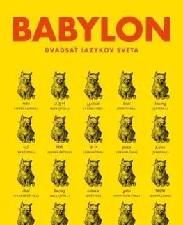 Literárna veda, jazykoveda Babylon (paperback) - Gaston Dorren,Milan Kopecký