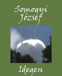 Svetová beletria Idegen - Somogyi József