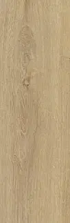 Purus plus EUROWOOD Purus plus Dub berner 45363/0011 D6021