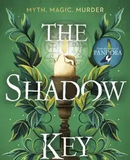 Historické romány The Shadow Key - Susan Stokes-Chapman