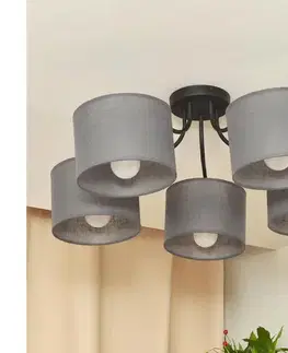 Svietidlá  Prisadený luster ALBA 5xE27/15W/230V sivá P-2015/5 BK+GR