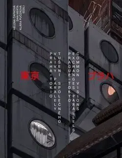 Architektúra 1920-2020 Praha - Tokio - Dan Merta,Helena Čapková,Klára Pučerová