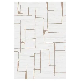 Moderné koberce Koberec Frisee Elio 1.6/2.3 2309 460 krémová