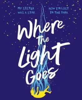 Young adults Where the Light Goes - Sara Barnard