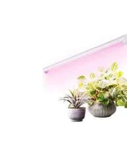 Svietidlá  LED podsvietené svietidlo GROWLY LED/9W/230V pre rastliny, biela 004019