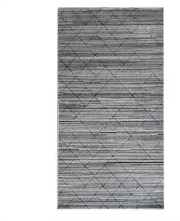 Moderné koberce Koberec Noble 0.8/1.5 8868a Ah783