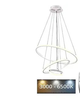 Svietidlá BRILAGI - LED stmievateľný luster na lankách CIRCLE LED/90W/230V 3000-6500K + DO BG-J4301/W