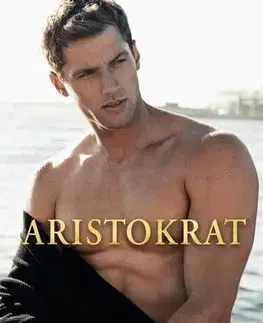 Romantická beletria Aristokrat - Penelope Ward,Ivana Čejková