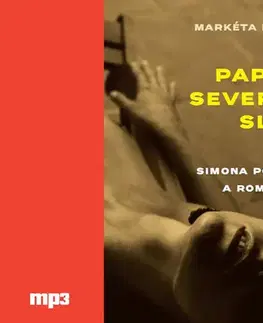 Detektívky, trilery, horory Radioservis Rudé paprsky severního slunce - audiokniha CDmp3