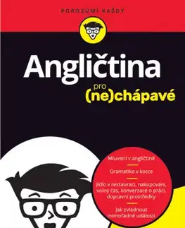 Učebnice a príručky Angličtina pro nechápavé - Gail Brenner