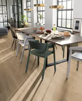 E-motion aqua plus EGGER E-motion aqua plus Dub treviso prírodný EL2181