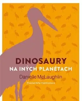 Novely, poviedky, antológie Dinosaury na iných planétach - Danielle McLaughlin