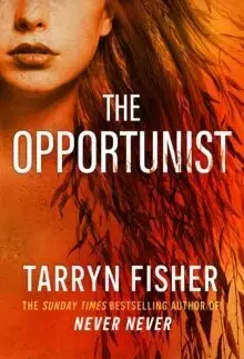 Romantická beletria The Opportunist - Love Me with Lies 1 - Tarryn Fisher