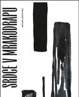 Odborná a náučná literatúra - ostatné Srdce v mrakodrapu - Bohumil Ždichynec