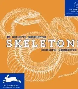 Cudzojazyčná literatúra Skeletons