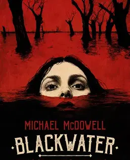 Detektívky, trilery, horory Blackwater: kniha první - Michael McDowell