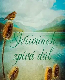 Svetová beletria Skřivánek zpívá dál - Fiona Valpy,Jiří Chodil