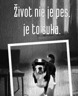 Poézia Život nie je pes, je to suka - Ján Márton