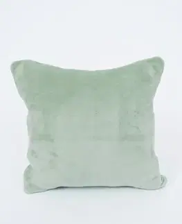 Dekoračné obliečky MKLozkoviny.sk Obliečka na vankúš mikroplyš 40 × 40 cm - Laura šalviová-  -