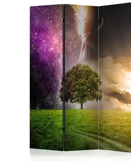 Paravány Paraván Magic Tree Dekorhome