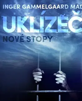 Detektívky, trilery, horory Saga Egmont Uklízeč 4: Nové stopy