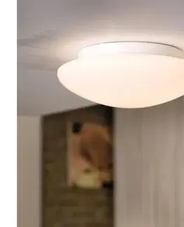 Svietidlá Eglo 81635 - Stropné svietidlo ELLA 1xE27/60W/230V 81635
