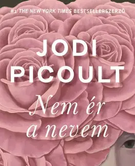 Svetová beletria Nem ér a nevem - Jodi Picoult